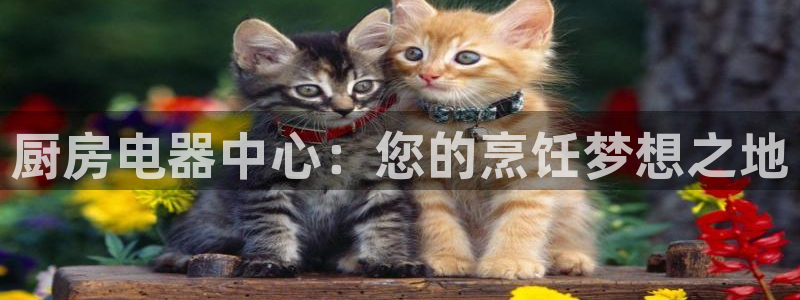 摩登7公司排名