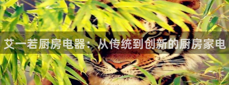 摩登2 7