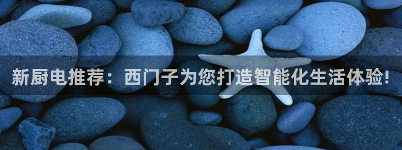 摩登4前7O667