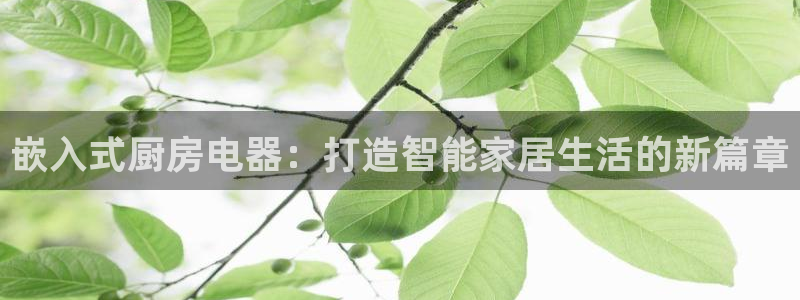 摩登7左3299O7
