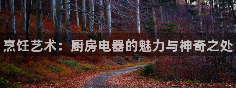 摩登7