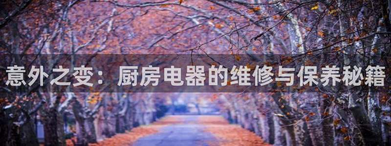 摩登7彩票平台登陆总代