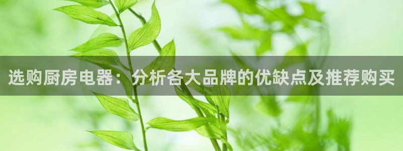 摩登7官网六柒五I38