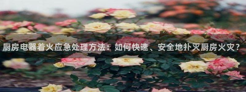 摩登5许7O667