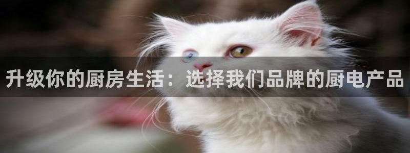 摩登7登陆
