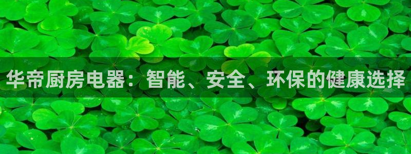 摩登精品7口碑极限
