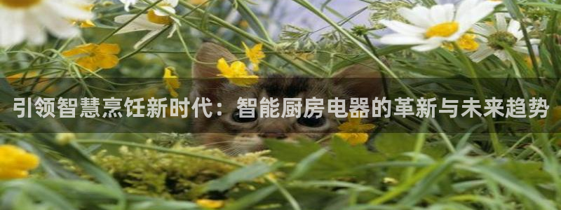 摩登7后3299O7