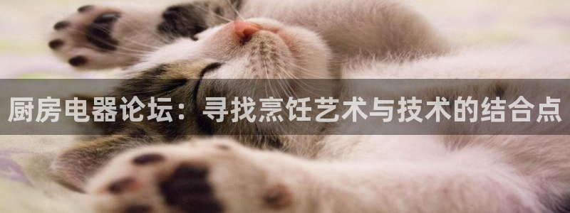 摩登7经3299O7