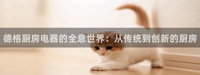摩登乐园7