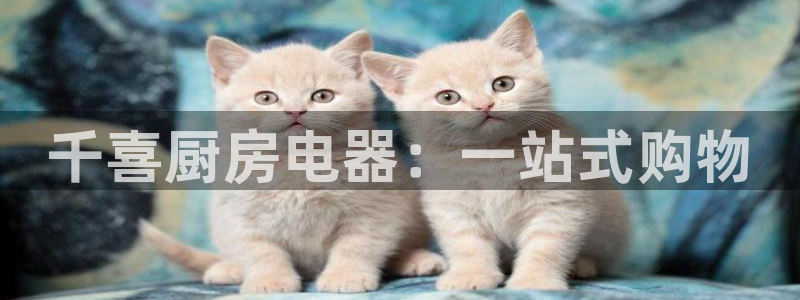 摩登5冯7O667