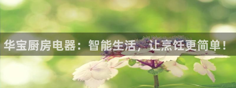 摩登7平台涨7O777