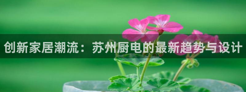 摩登7楼