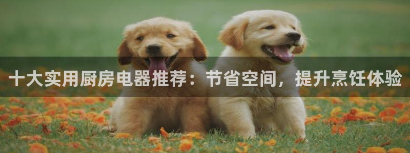 摩登7高阶