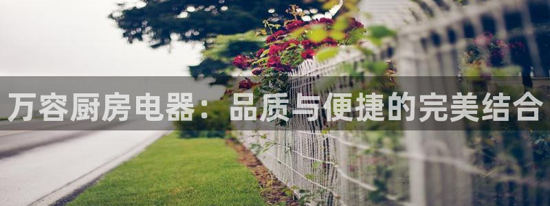 摩登3吕7O667