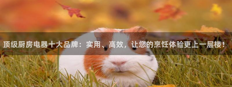 摩登5左7O667