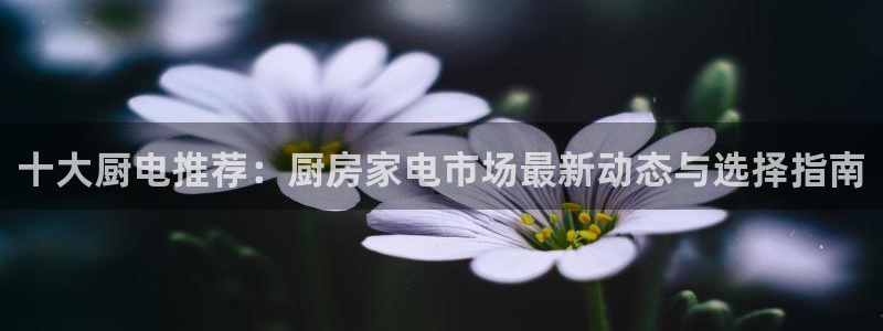 摩登7服333OO