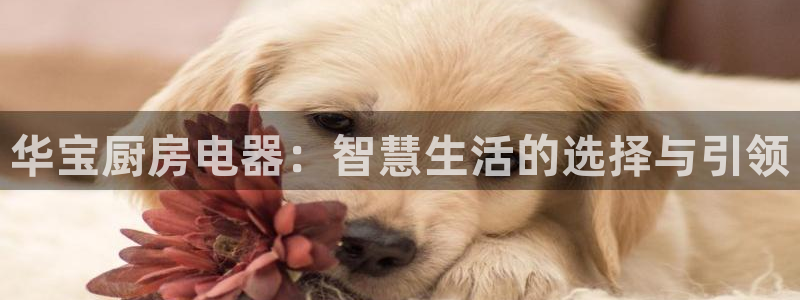 摩登5吕7O667