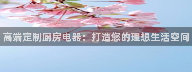 摩登7高管