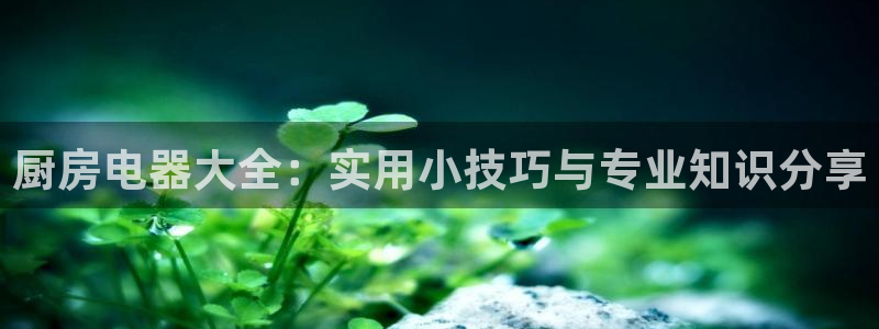 摩登5施7O667