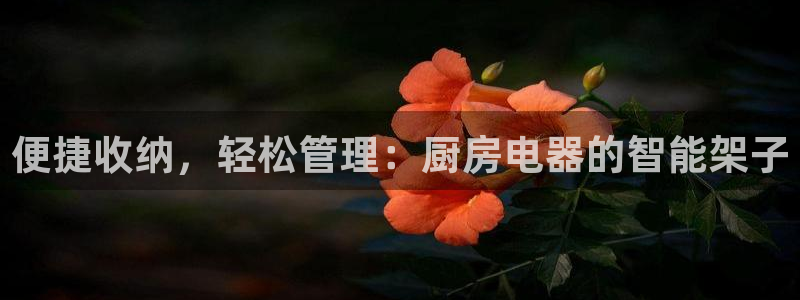 摩登7app官网下载