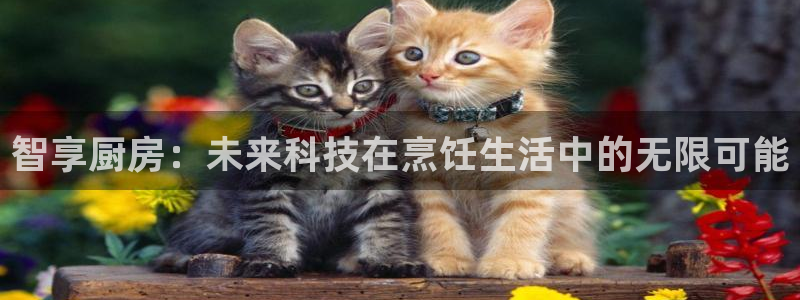 摩登系列摩登7