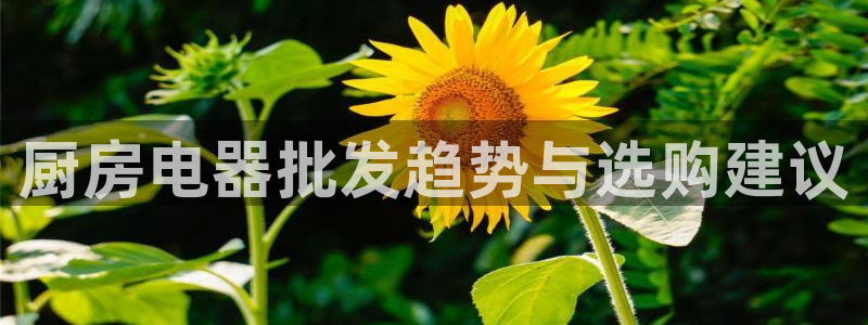 摩登7招商主管