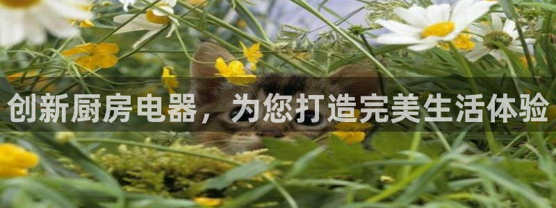 摩登7冠