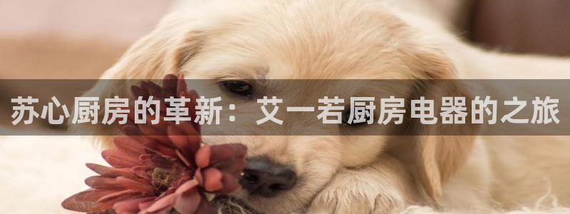 7牌摩登