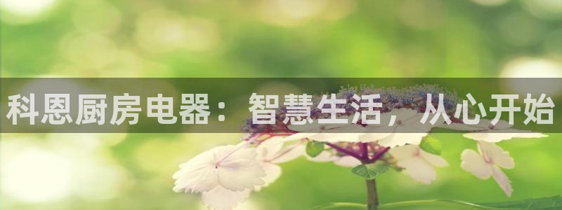摩登7前7O667