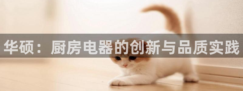 摩登3后7O667