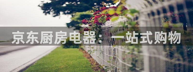 摩登7软件是什么原因