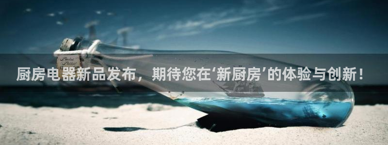 摩登7高管