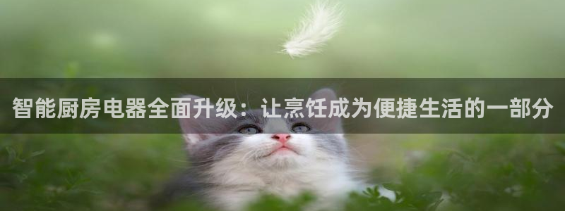 摩登2 7