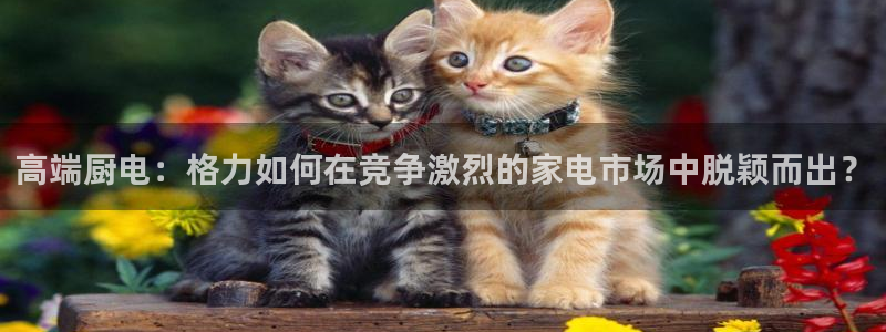 摩登7招商排名