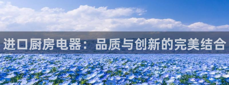 摩登7网站排名