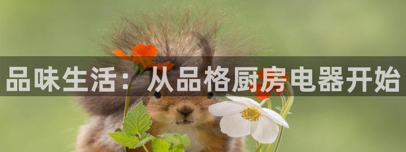 摩登7d2