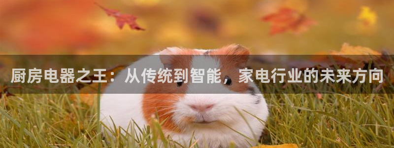 摩登7官网的详细介绍