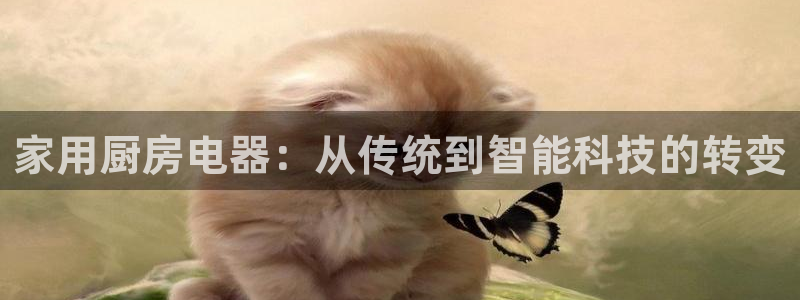 摩登4右7O667
