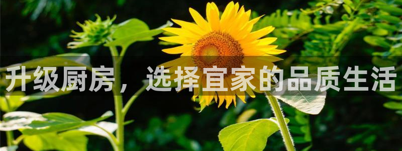 摩登7下载app