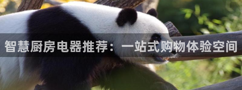 摩登7左3299O7