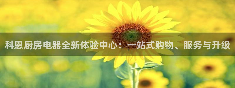 摩登7楼