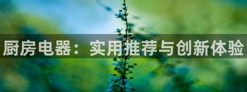 摩登5韩这7O667