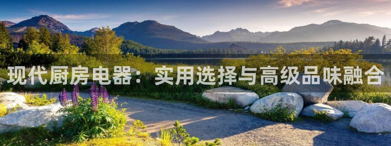 摩登平台标7O777