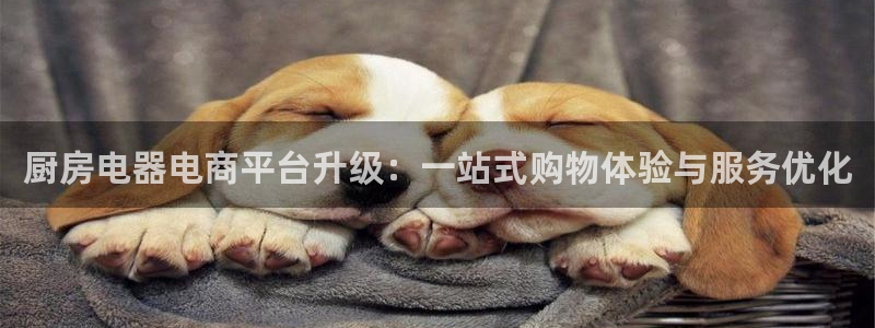 摩登7主管qq
