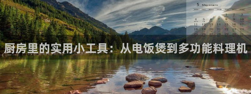 摩登7网站排名