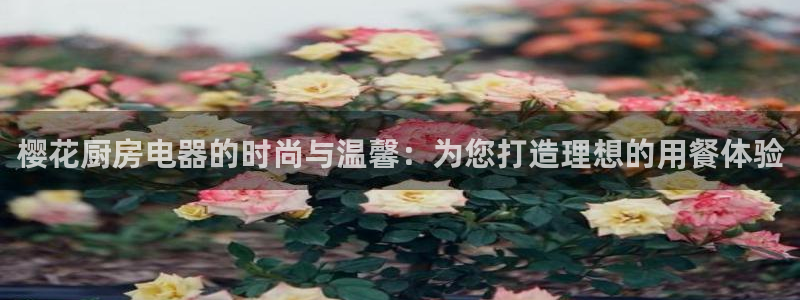 摩登7app官网下载