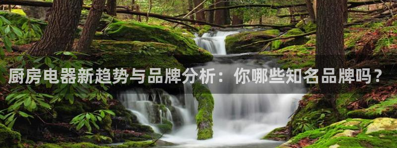 摩登7娱乐平台怎么样