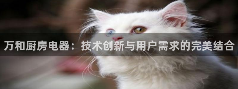 摩登7招商议333OO