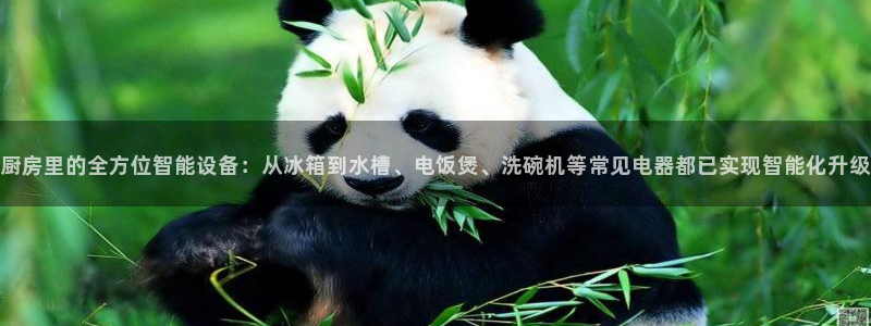 摩登7彩票平台是啥