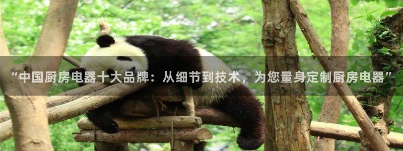 摩登7平台帐7O777